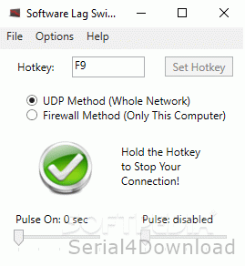 software lag switch activation key